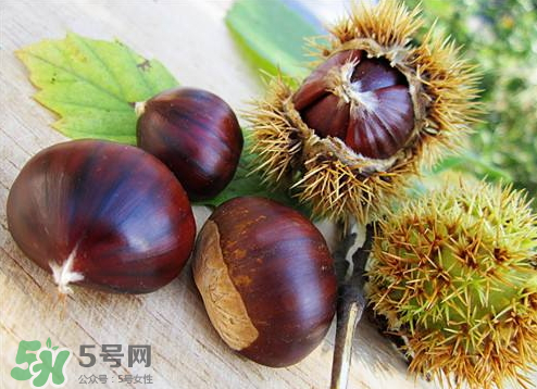 板栗泡酒真的能壯陽嗎？板栗泡酒有什么功效？