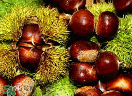 板栗泡酒要去皮嗎？板栗泡酒不去皮可以嗎？