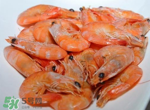 水煮蝦用什么蝦？水煮蝦要放鹽嗎？
