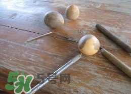 牛油果核能吃嗎？牛油果核怎么種盆栽？