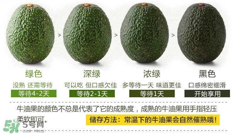 牛油果生的能吃嗎？牛油果怎么催熟快？