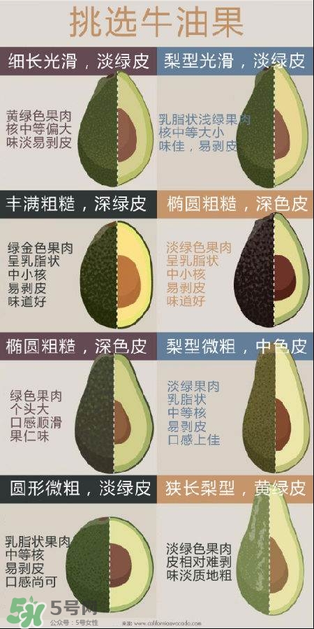 牛油果怎么挑選？牛油果多少錢一斤？