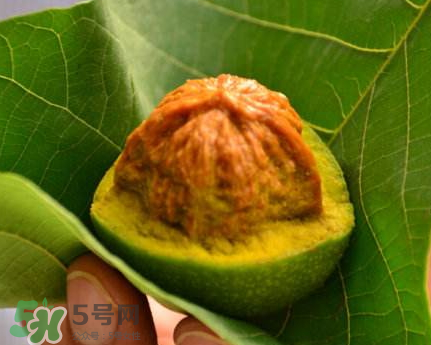 青皮核桃可以冷凍嗎？青皮核桃可以冷藏嗎？