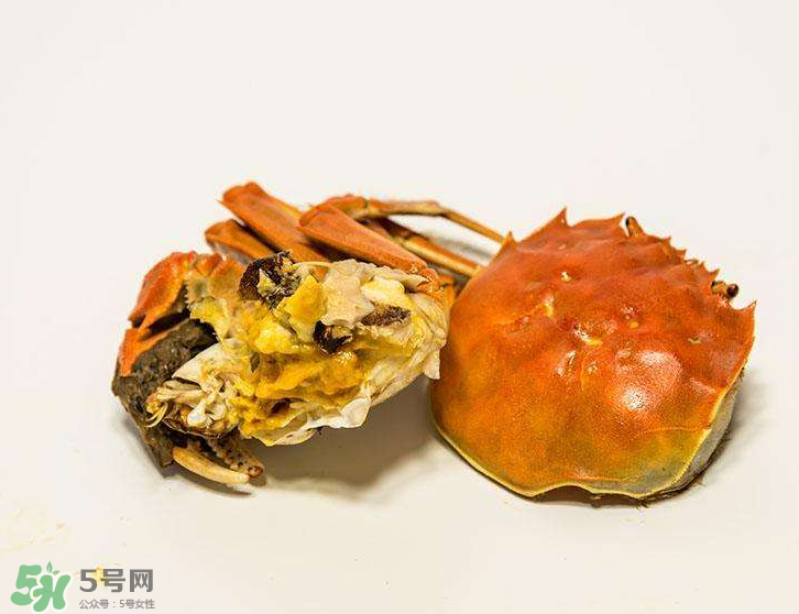哪種螃蟹有蟹黃？哪種螃蟹蟹黃最多？