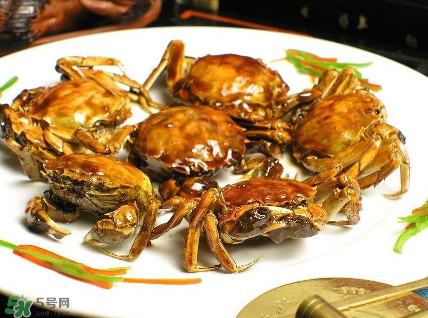 哪種螃蟹肉多？哪種螃蟹最好吃？