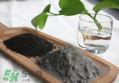 核桃粉寶寶可以吃嗎？寶寶幾個月可以吃？