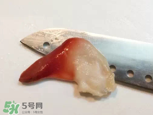 北極貝多少錢一斤？北極貝長什么樣子