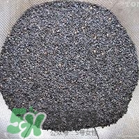 核桃粉怎么做？核桃粉的功效與作用