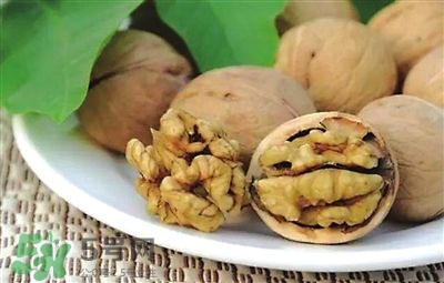 核桃分心木可以煲湯嗎？核桃分心木可以和枸杞泡水嗎？