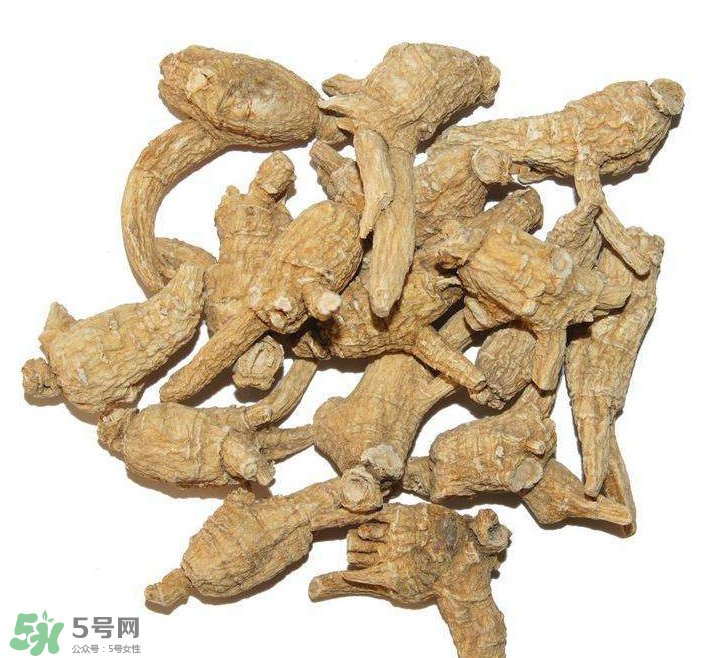 花旗參和西洋參的區(qū)別 花旗參好還是西洋參好？