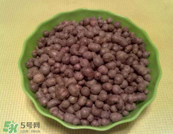山藥豆是什么東西？山藥豆是長在土里嗎？