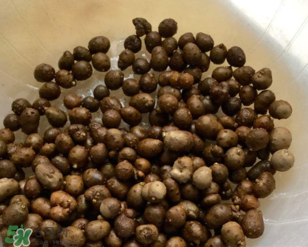 山藥豆能生吃嗎？山藥豆能帶皮吃嗎？