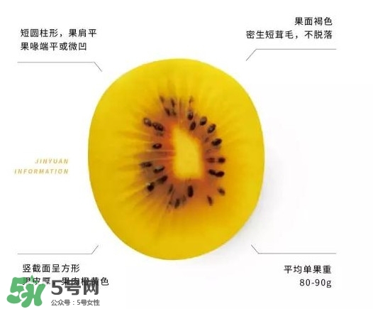 黃心獼猴桃叫什么名字？黃心獼猴桃是什么品種
