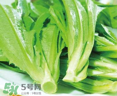 萵苣葉能吃嗎？萵苣葉和油麥菜有什么區(qū)別