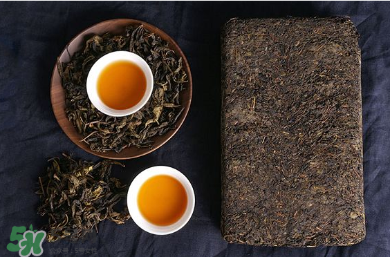 茯茶是熱性還是涼性？茯茶是不是放越久越好？