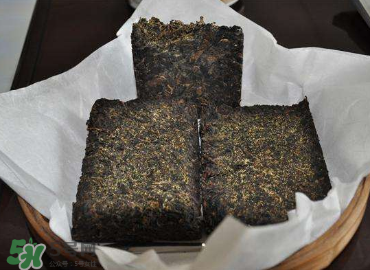 茯茶是熱性還是涼性？茯茶是不是放越久越好？