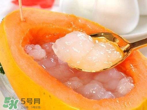 如何分辨雪蛤真假？挑雪蛤的方法