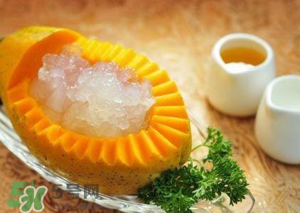 雪蛤膏是啥？雪蛤膏的功效與作用