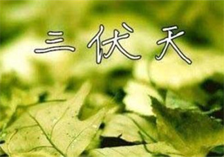 為什么三伏天最熱？如何過好三伏天？