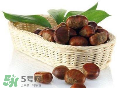 板栗酒能治療腎陽虛嗎？板栗泡酒真的能壯陽嗎？