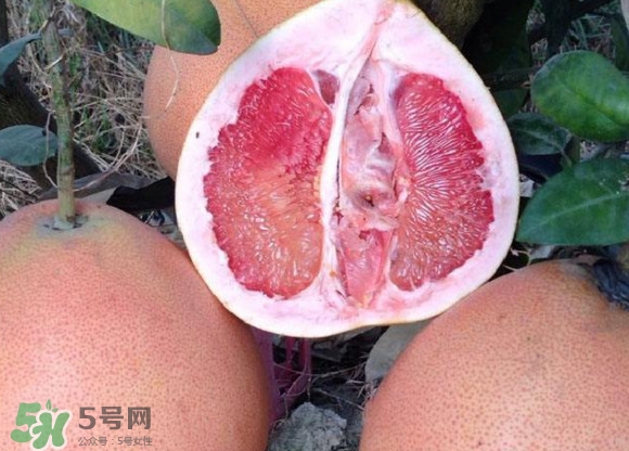 三紅蜜柚口味怎么樣？三紅蜜柚苗多少錢(qián)一棵