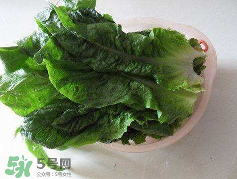 孕婦能吃涼拌萵苣葉嗎？萵苣葉煮水可以治蕁麻疹嗎