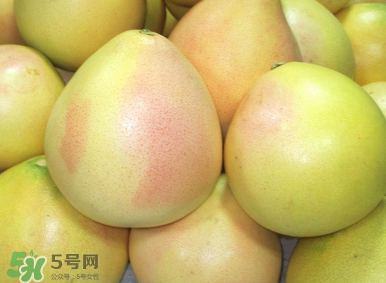 三紅蜜柚什么時候種植？三紅蜜柚什么時候成熟