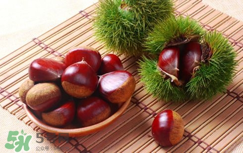 板栗酒能治療腎陽虛嗎？板栗泡酒真的能壯陽嗎？