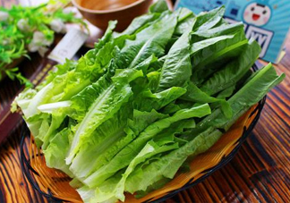 萵苣葉要焯水嗎？萵苣葉怎么做才不苦？