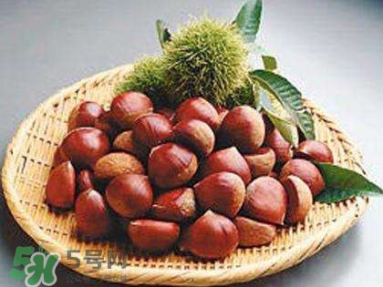 板栗酒能治療腎陽虛嗎？板栗泡酒真的能壯陽嗎？