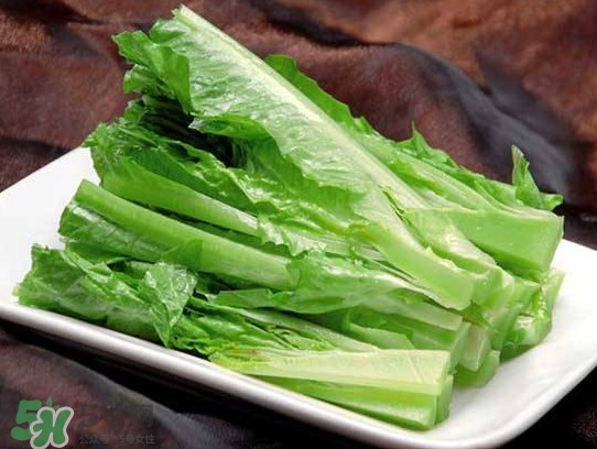 萵苣葉能吃嗎？萵苣葉和油麥菜有什么區(qū)別