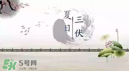 三伏天練什么？三伏天具體怎么養(yǎng)生？