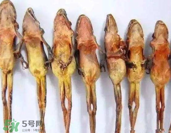雪蛤干多少錢一斤？雪蛤干怎么吃？