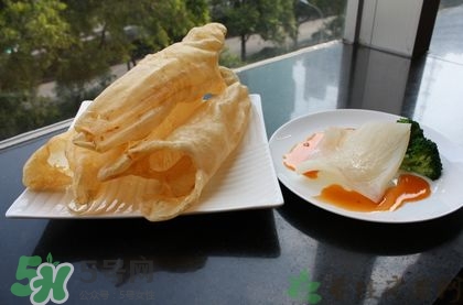 花膠可以放多久？花膠可以放冰箱嗎？