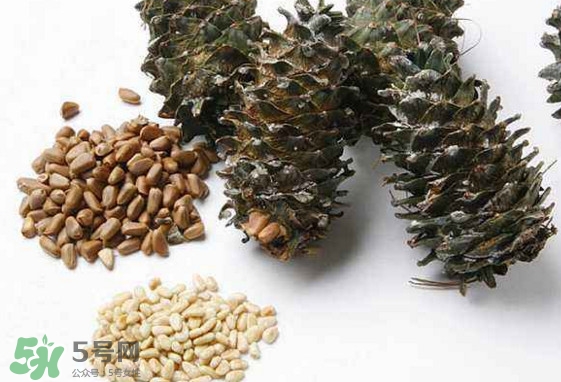 松子是松樹(shù)的果實(shí)嗎？松子是酸性還是堿性