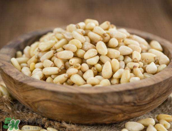 松籽是什么樹結(jié)的？松子還是松籽？