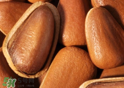 松籽什么季節(jié)采摘？吃松籽有什么好處？