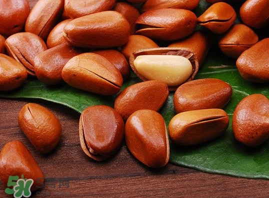 松籽可以生吃嗎？松籽怎么儲藏保存