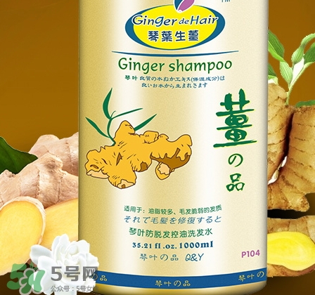 琴葉洗發(fā)水是哪國(guó)的？琴葉洗發(fā)水是幾線品牌