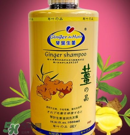 琴葉生姜洗發(fā)水好用嗎？琴葉生姜洗發(fā)水真假