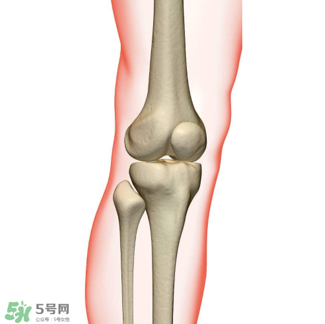 風濕不治療可以治愈嗎？早期風濕能自愈嗎？