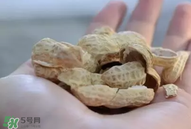 花生發(fā)芽后營養(yǎng)如何？花生殼煮水喝有什么用？