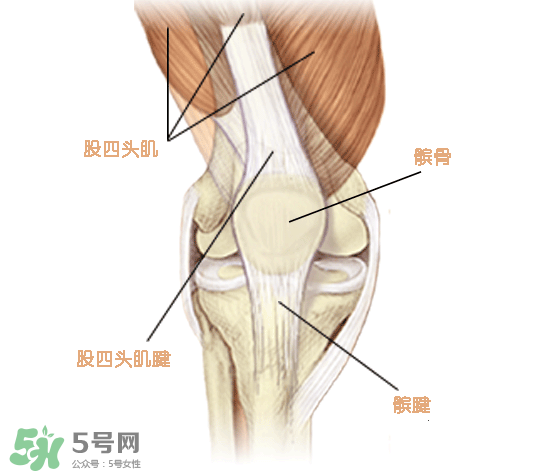風(fēng)濕可以吃螃蟹嗎？得了風(fēng)濕能吃螃蟹嗎？