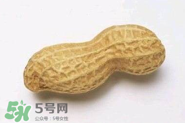 花生有哪些種類型？花生怎么栽培管理？