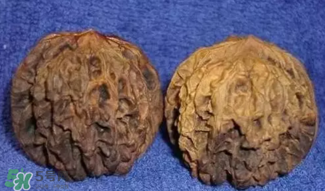 核桃上的陰皮是什么？核桃對血管的作用