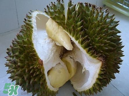 榴蓮和雞蛋能一起吃嗎？榴蓮和什么不能一起吃？