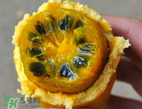 八月炸適合哪里種植？八月炸作用和功效是什么