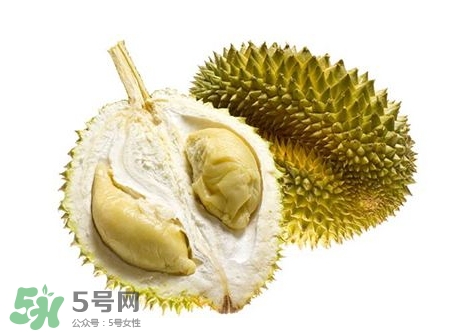 榴蓮籽能種嗎？榴蓮籽怎么種小盆栽？