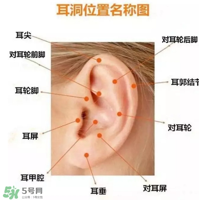 打耳洞多少錢一對？打耳洞相當于什么疼