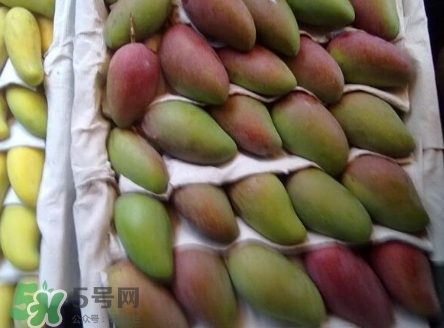 芒果有哪些品種？哪種芒果最好吃？